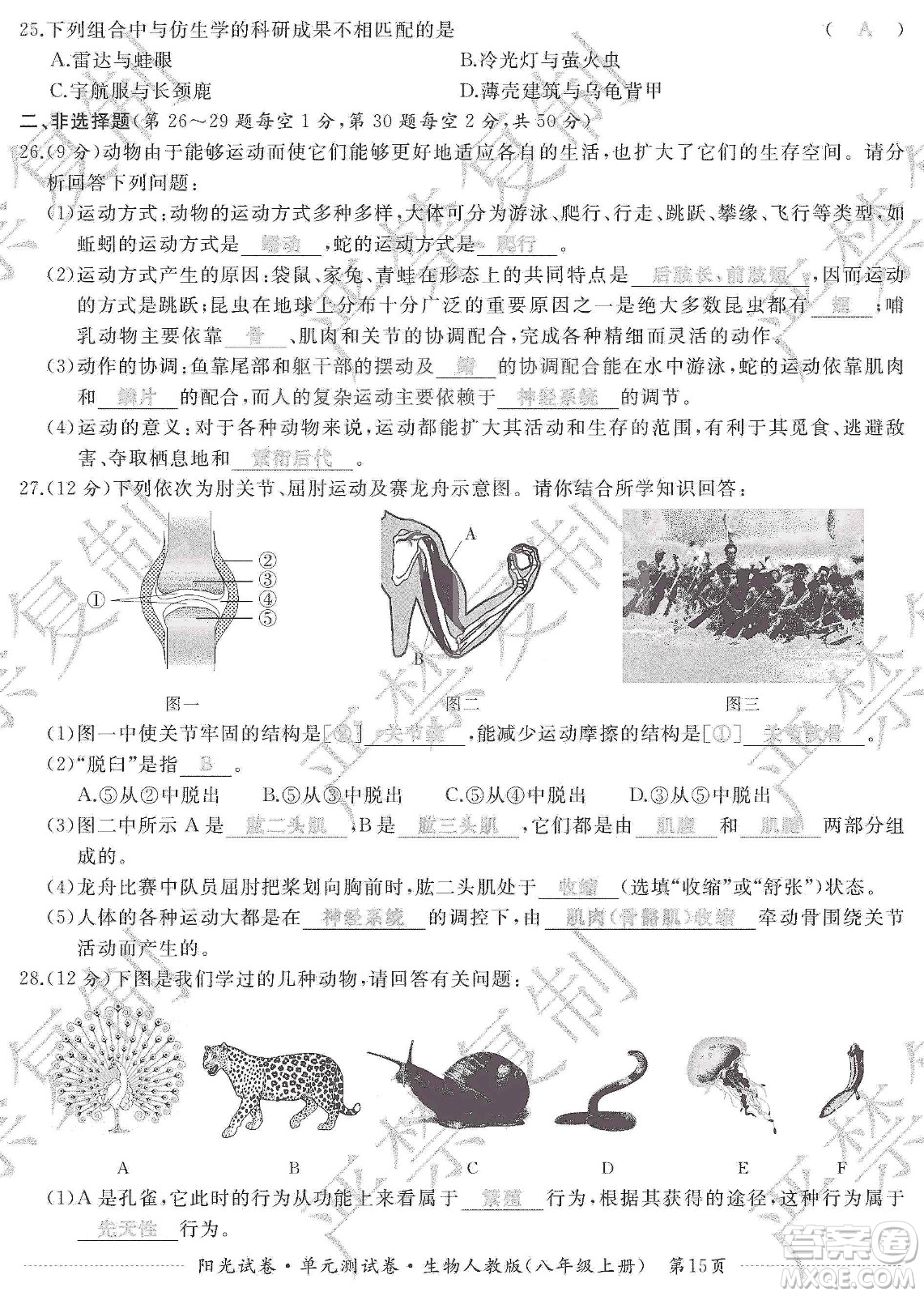 江西高校出版社2019陽光試卷單元測試卷八年級生物上冊人教版答案