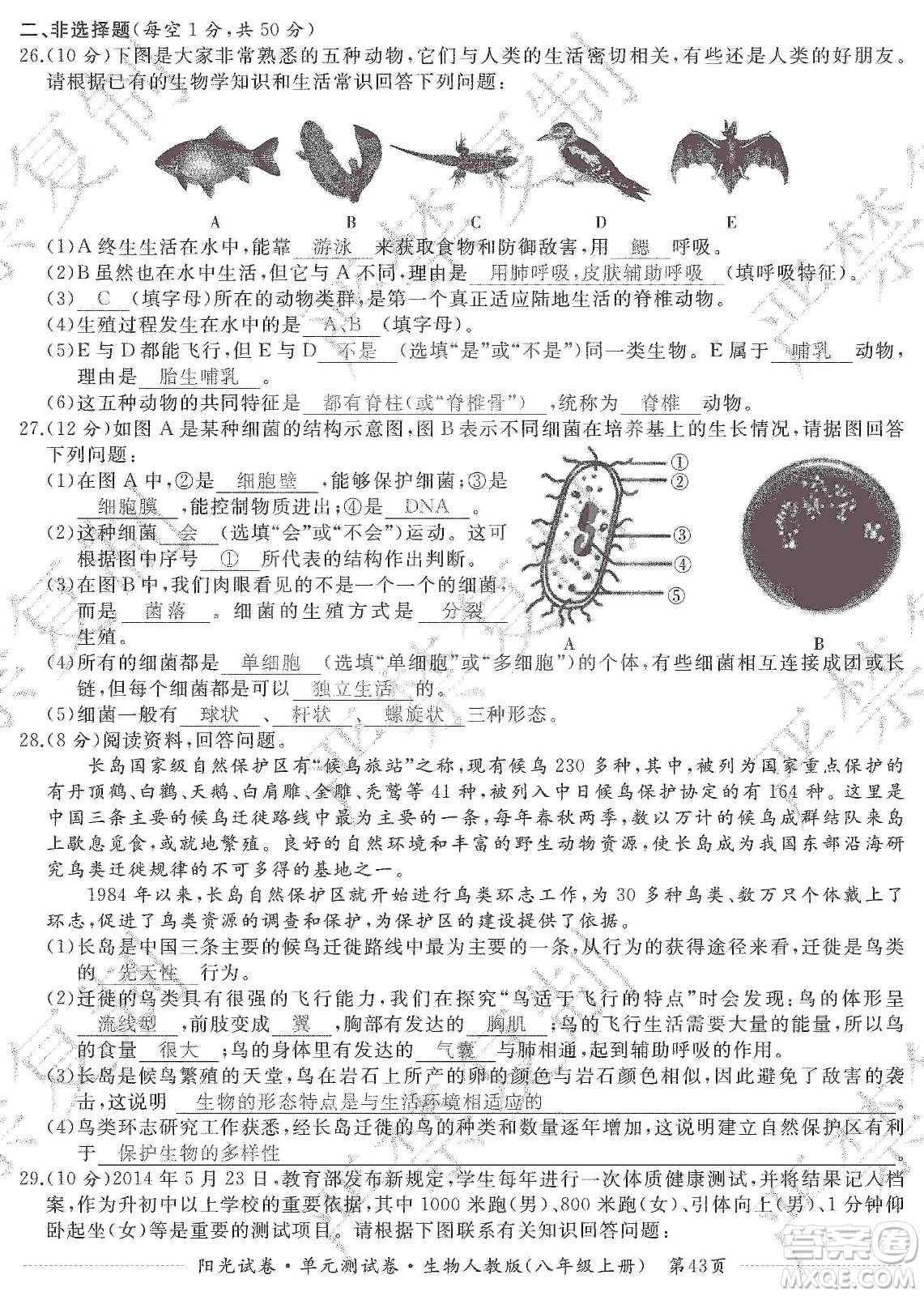 江西高校出版社2019陽光試卷單元測試卷八年級生物上冊人教版答案