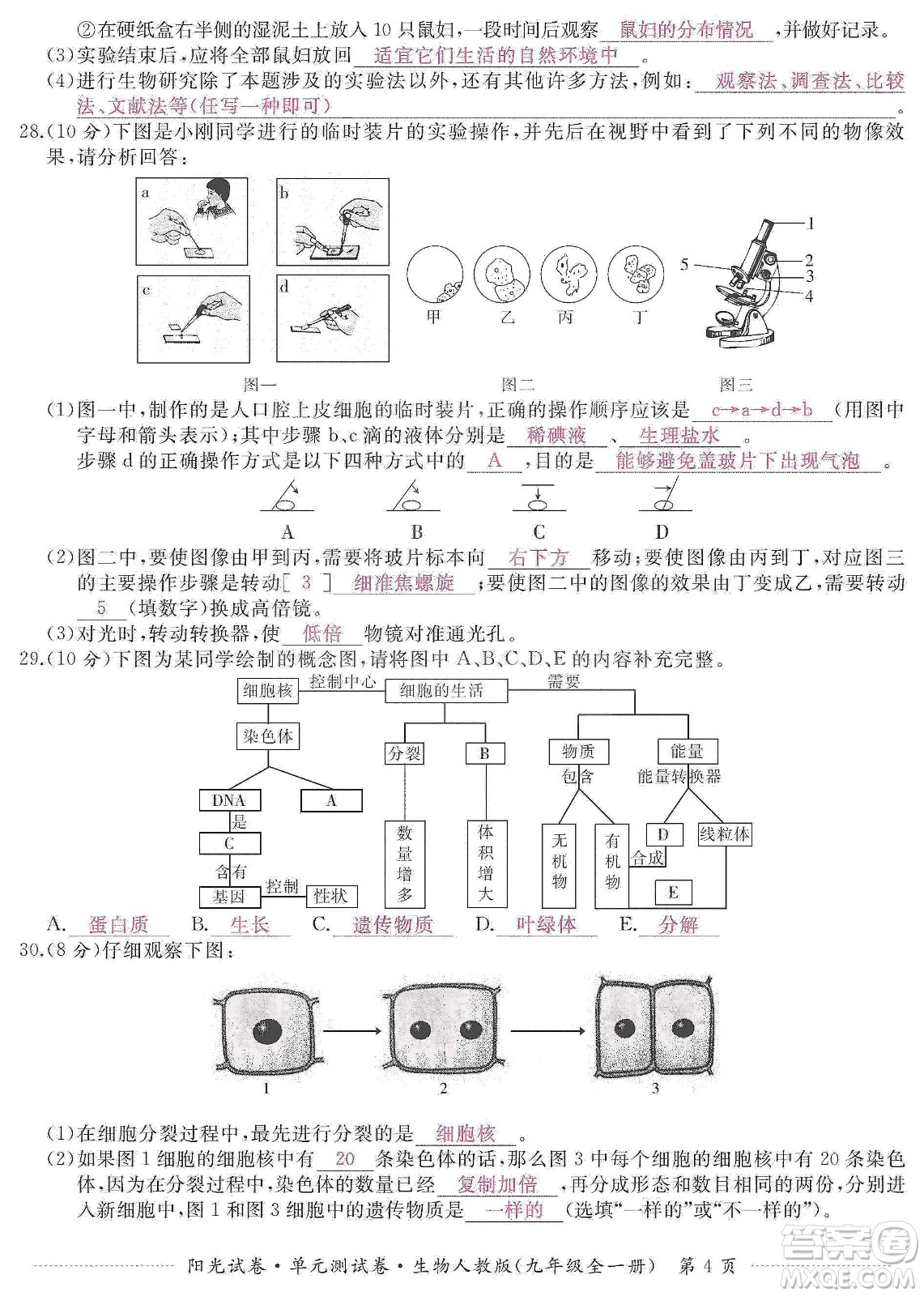 江西高校出版社2019陽(yáng)光試卷單元測(cè)試卷九年級(jí)生物全一冊(cè)人教版答案