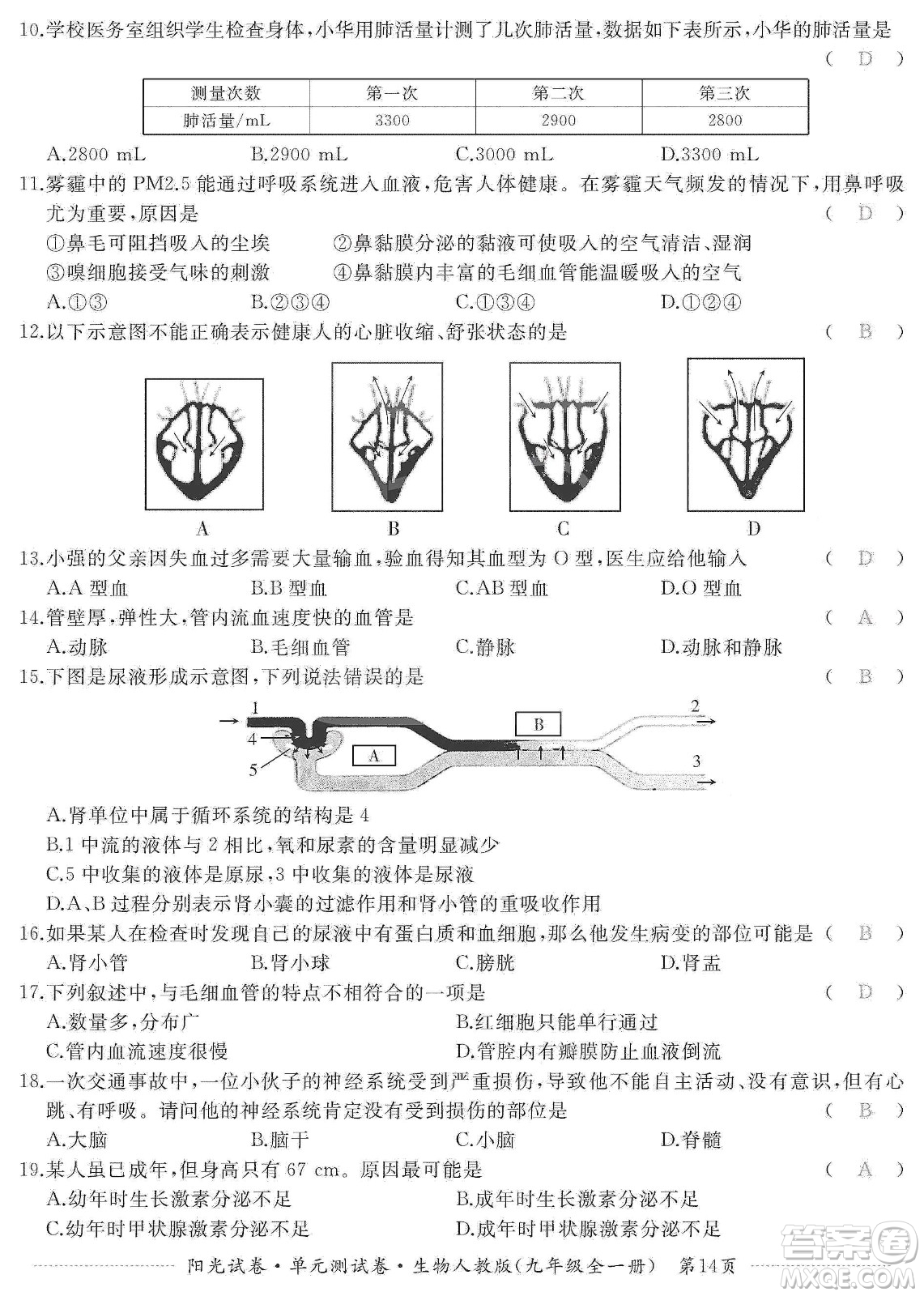 江西高校出版社2019陽(yáng)光試卷單元測(cè)試卷九年級(jí)生物全一冊(cè)人教版答案