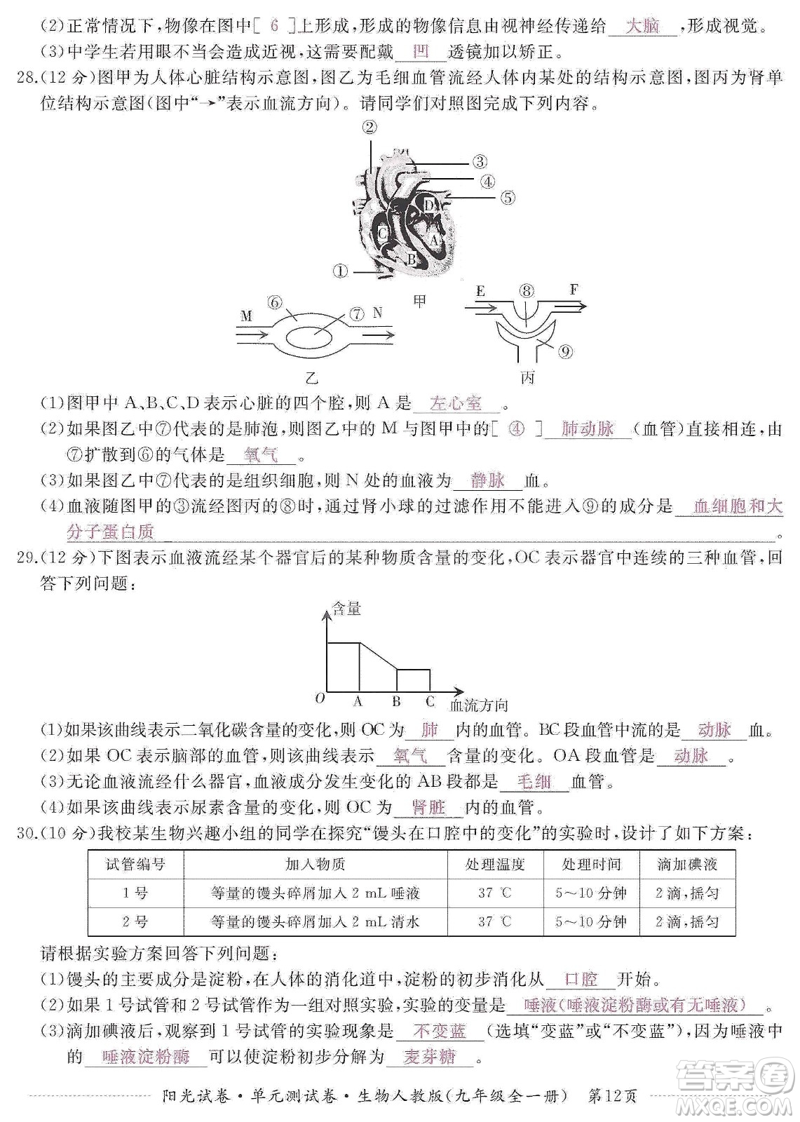 江西高校出版社2019陽(yáng)光試卷單元測(cè)試卷九年級(jí)生物全一冊(cè)人教版答案