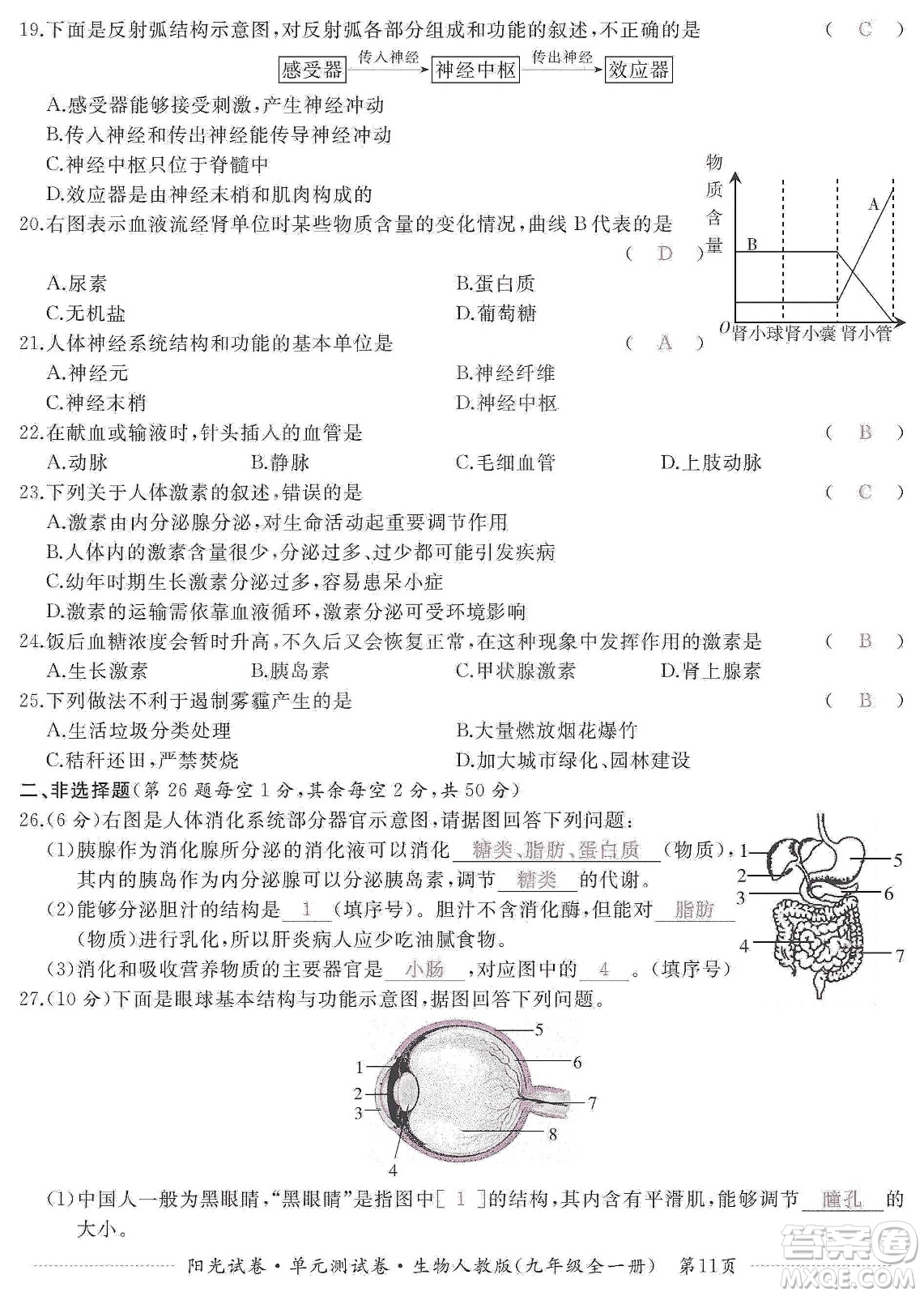 江西高校出版社2019陽(yáng)光試卷單元測(cè)試卷九年級(jí)生物全一冊(cè)人教版答案