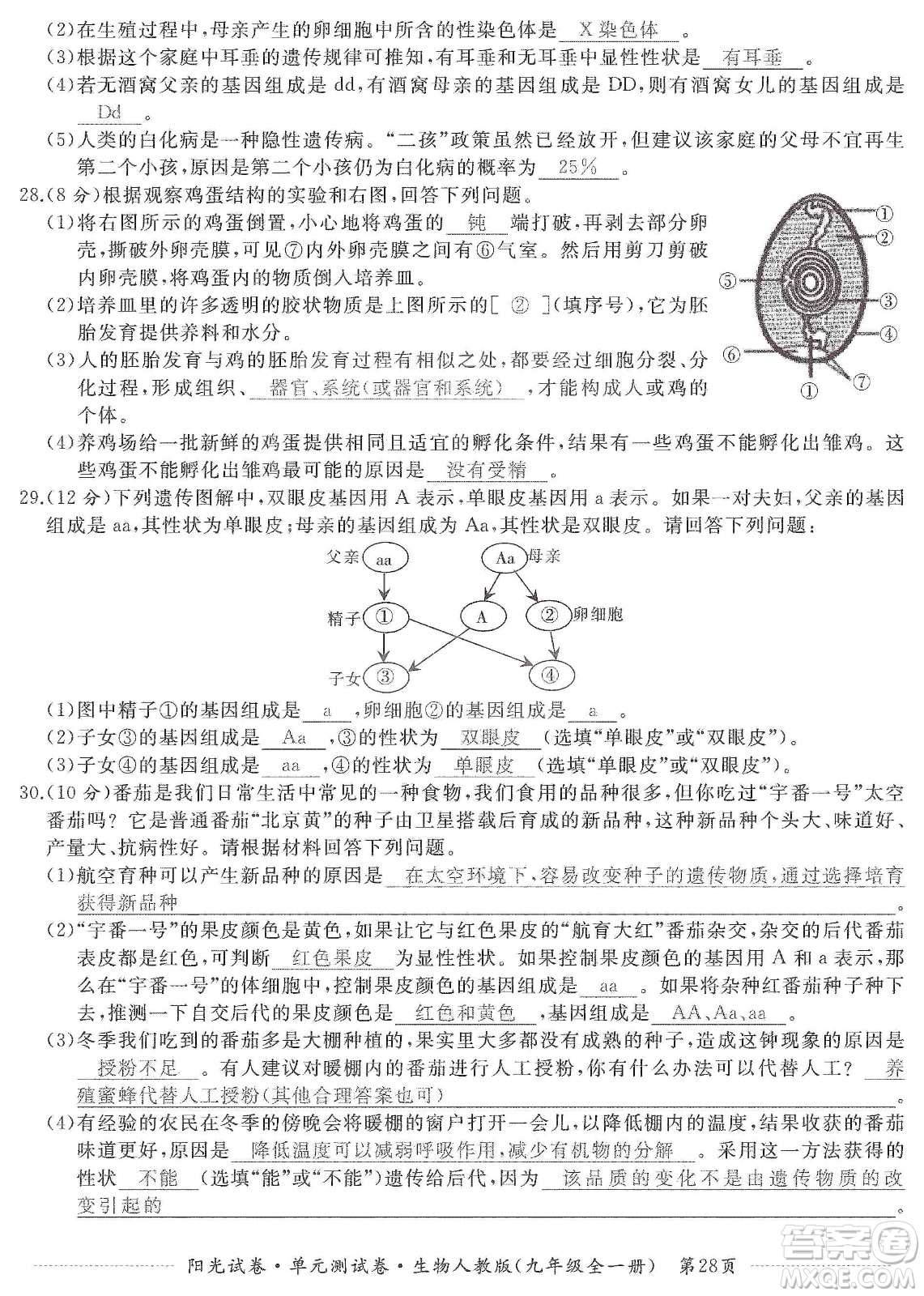 江西高校出版社2019陽(yáng)光試卷單元測(cè)試卷九年級(jí)生物全一冊(cè)人教版答案