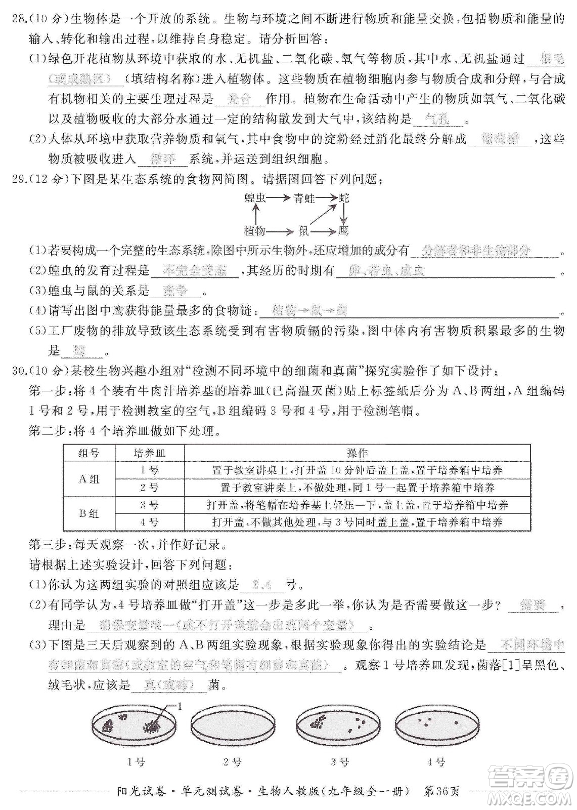 江西高校出版社2019陽(yáng)光試卷單元測(cè)試卷九年級(jí)生物全一冊(cè)人教版答案