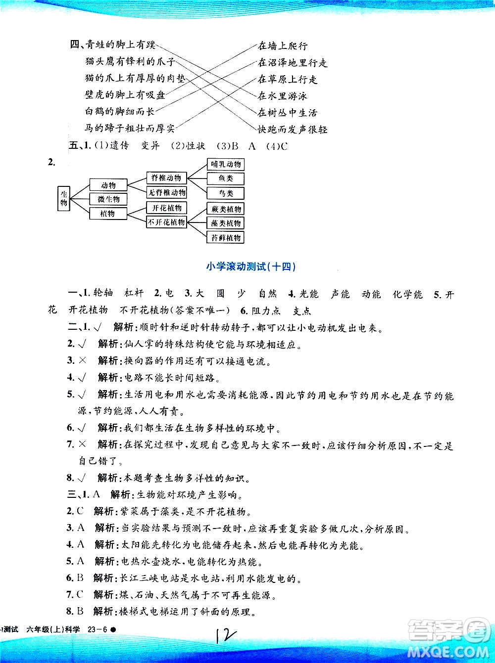 孟建平系列叢書(shū)2019年小學(xué)滾動(dòng)測(cè)試科學(xué)六年級(jí)上冊(cè)J教科版參考答案