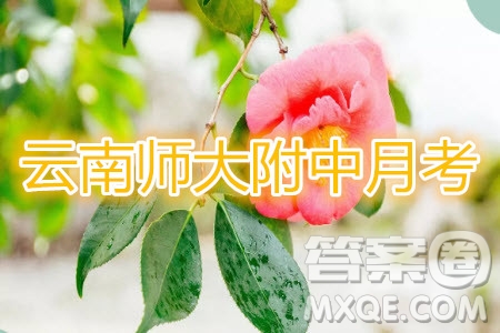 2020屆云師大附中高考適應(yīng)性月考四文科數(shù)學(xué)試題及參考答案