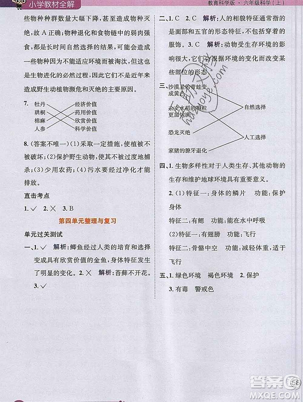 陜西人民教育出版社2019秋小學(xué)教材全解六年級(jí)科學(xué)上冊(cè)教科版答案