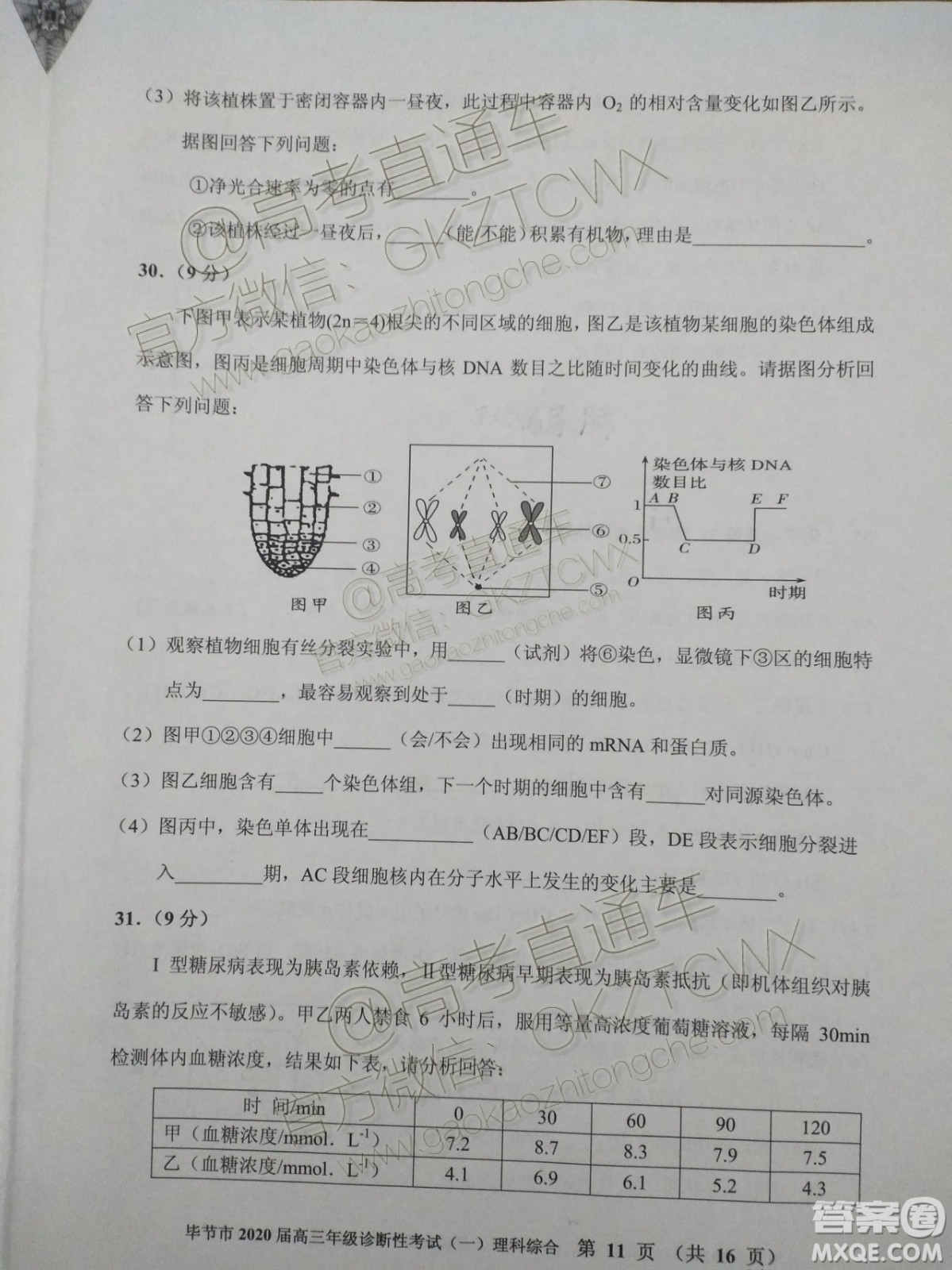 畢節(jié)市2020屆高三年級診斷性考試一理科綜合試題及答案