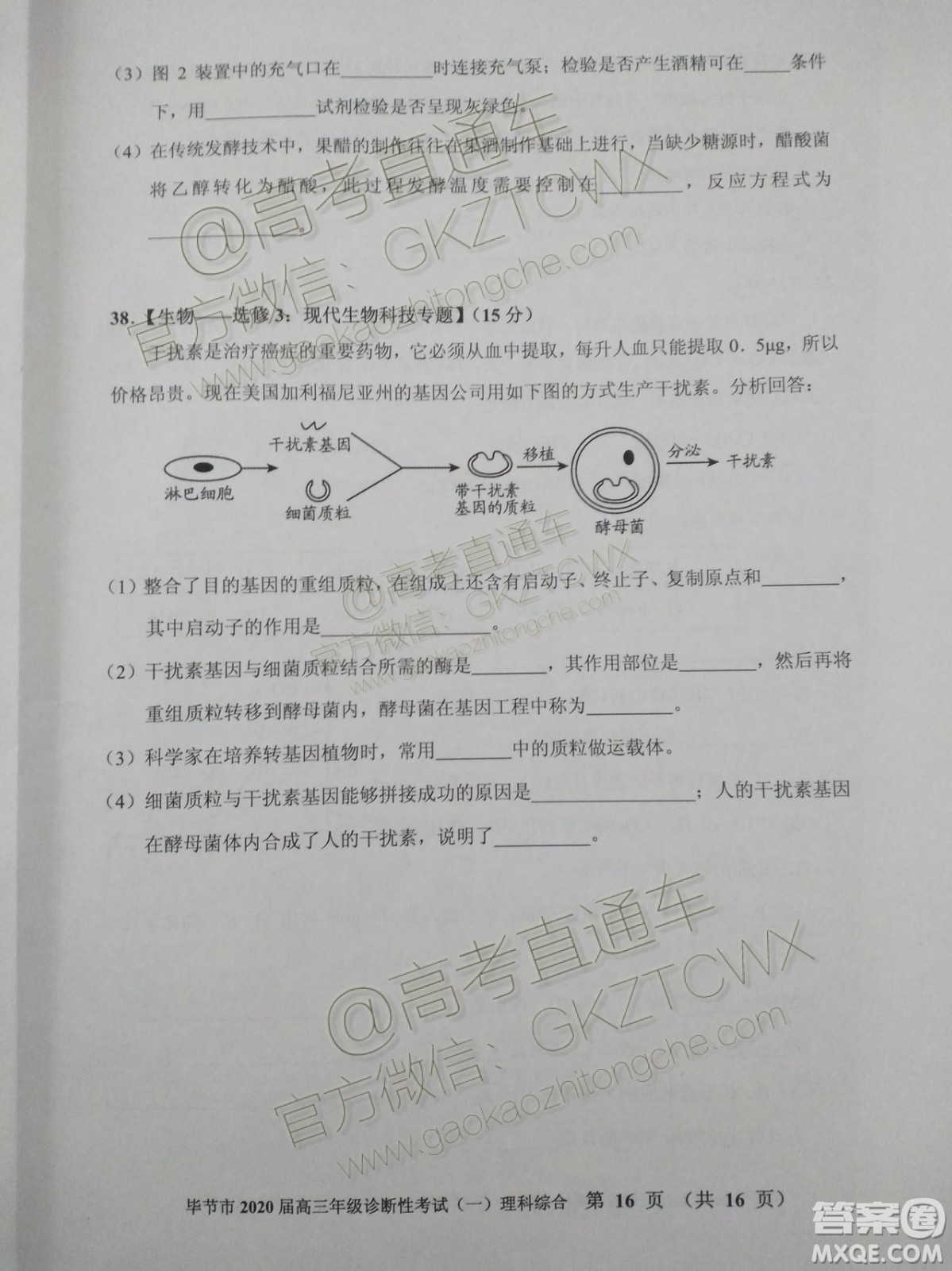 畢節(jié)市2020屆高三年級診斷性考試一理科綜合試題及答案