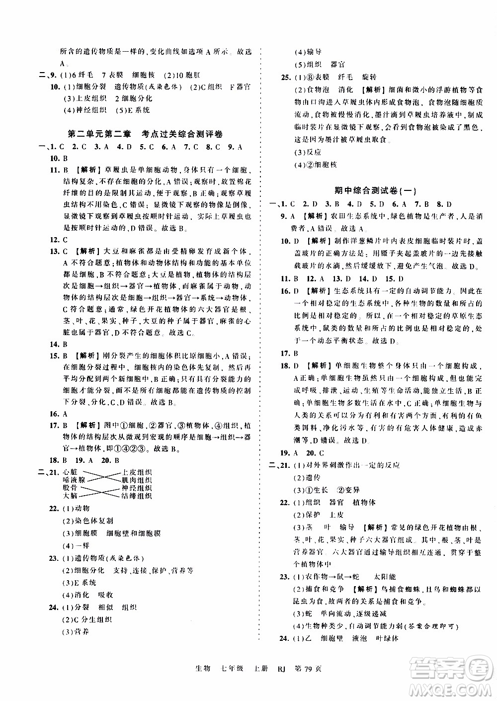 2019王朝霞考點梳理時習(xí)卷生物七年級上冊RJ版人教版參考答案