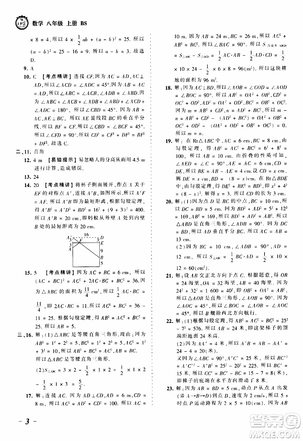 2019王朝霞考點梳理時習(xí)卷數(shù)學(xué)八年級上冊BS北師版參考答案