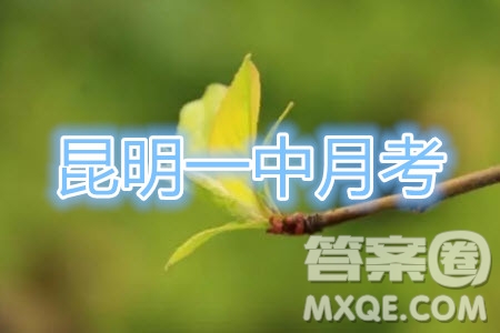 2020屆昆明一中高三第三次月考文科數(shù)學(xué)試題及答案