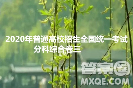 2020年普通高校招生全國統(tǒng)一考試分科綜合卷三英語試題及答案