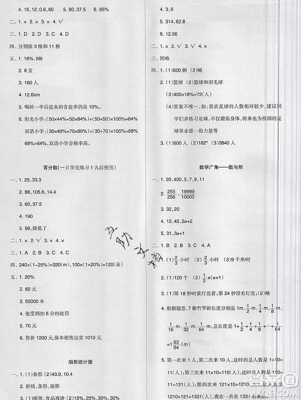 新疆文化出版社2019秋新版A+金題小學(xué)六年級數(shù)學(xué)上冊人教版答案