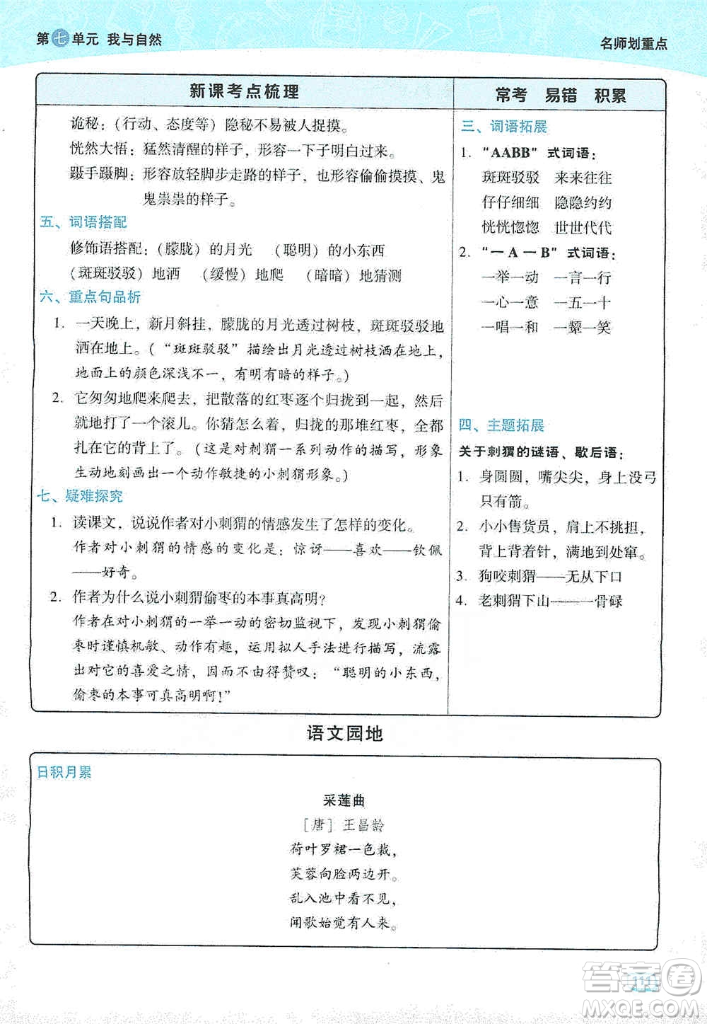 2019典中點名師劃重點三年級語文上冊人教版答案