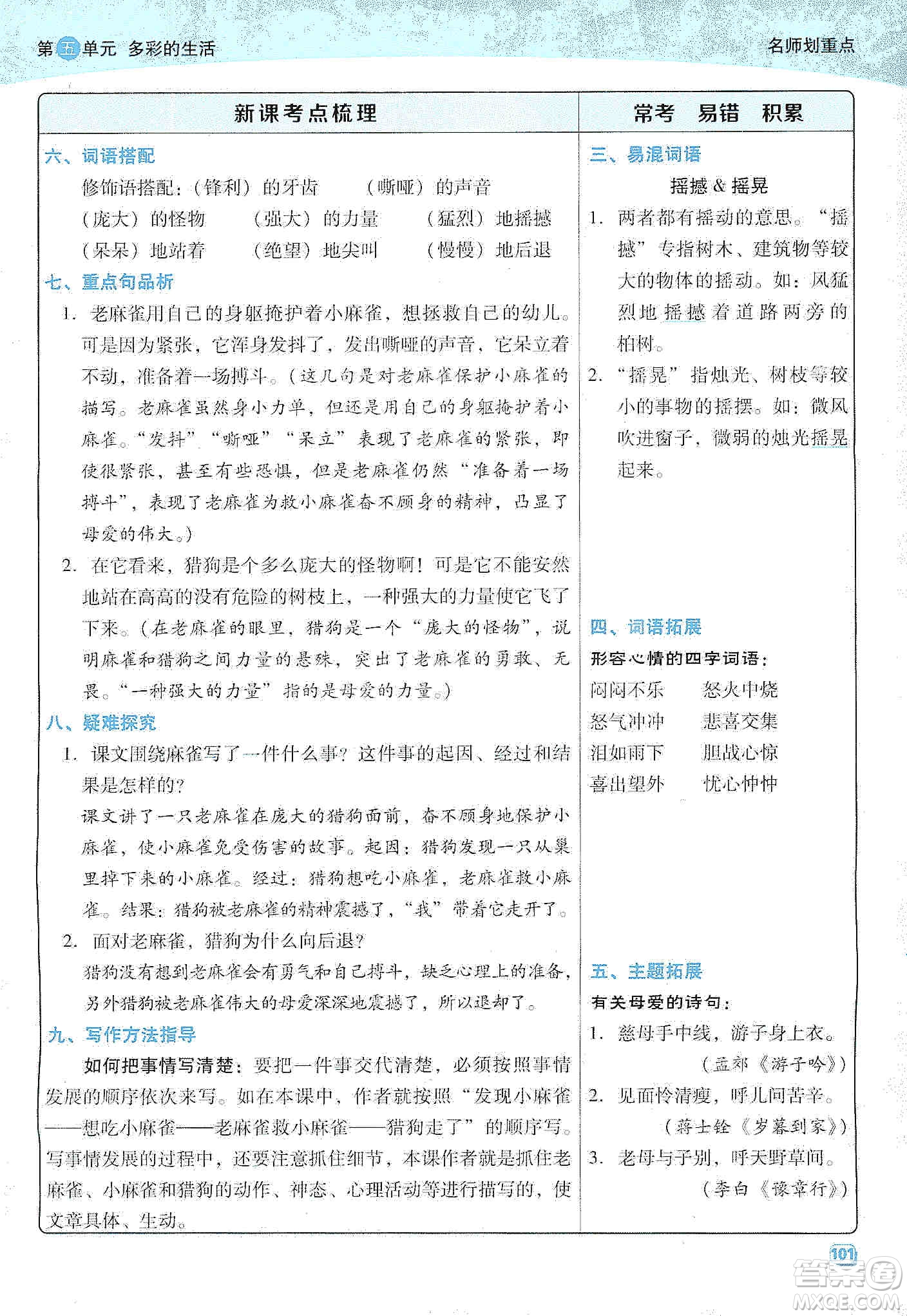 2019典中點名師劃重點四年級語文上冊人教版答案