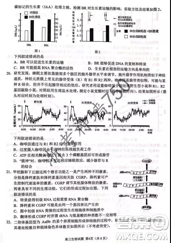 2019年浙江省七彩陽光新高考研究聯(lián)盟高考適應(yīng)性考試高三生物試題及參考答案