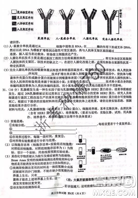 2019年浙江省七彩陽光新高考研究聯(lián)盟高考適應(yīng)性考試高三生物試題及參考答案