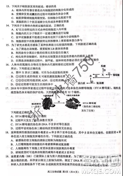 2019年浙江省七彩陽光新高考研究聯(lián)盟高考適應(yīng)性考試高三生物試題及參考答案