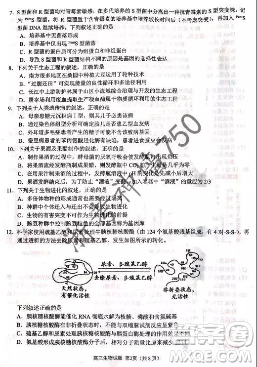 2019年浙江省七彩陽光新高考研究聯(lián)盟高考適應(yīng)性考試高三生物試題及參考答案