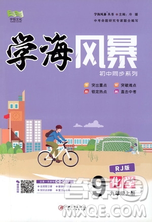 宇恒文化2019年學(xué)海風(fēng)暴初中同步系列化學(xué)九年級(jí)上冊(cè)RJ人教版參考答案