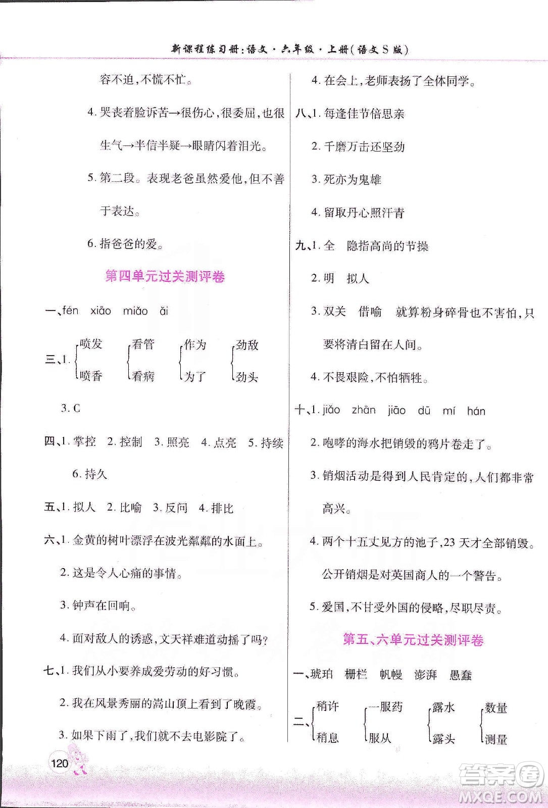 河南大學(xué)出版社2019新課程練習(xí)冊(cè)六年級(jí)語(yǔ)文上冊(cè)語(yǔ)文S版答案