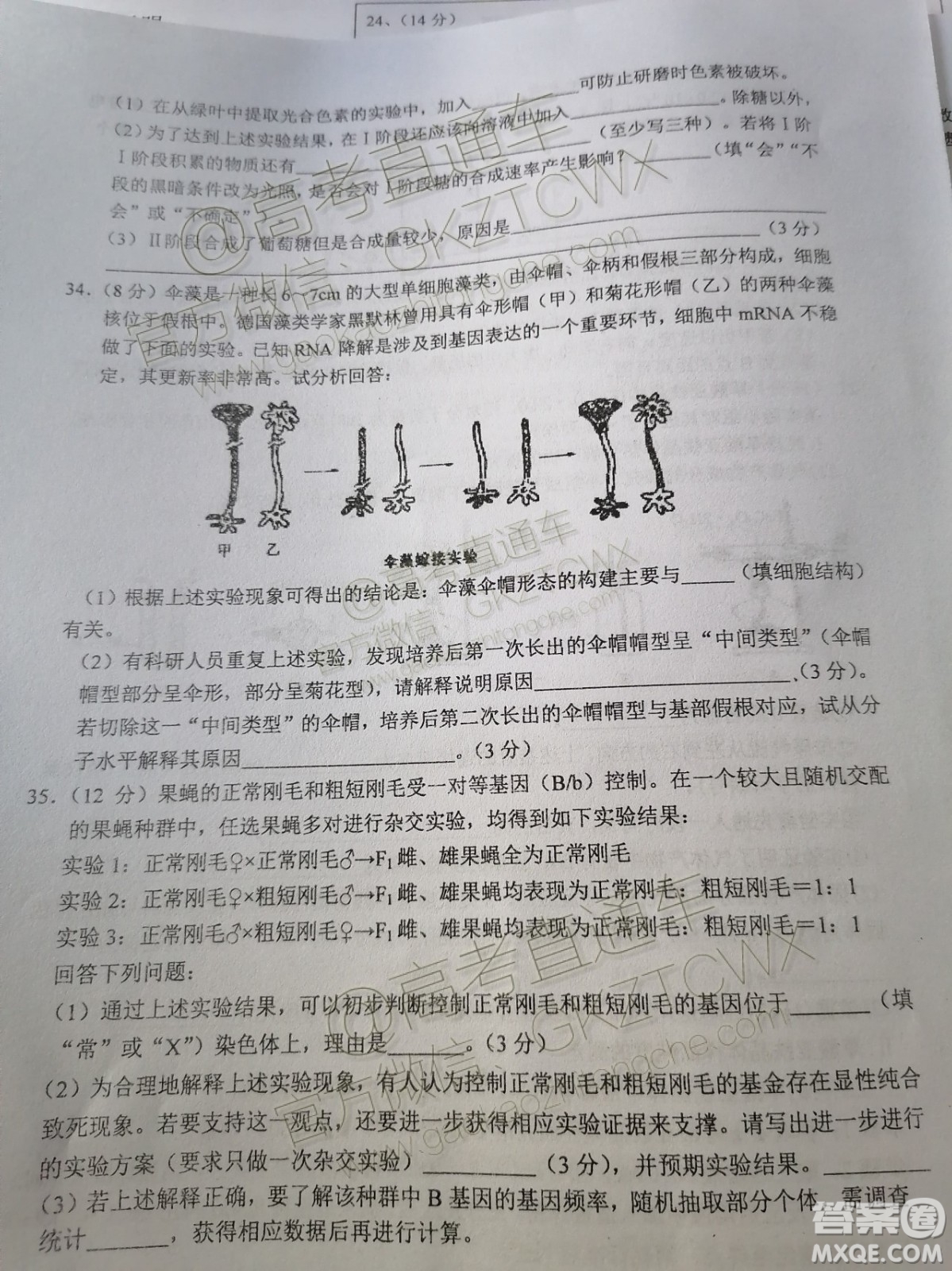 2020屆江西省上饒市民?？荚嚶?lián)盟高三理科綜合試題答案