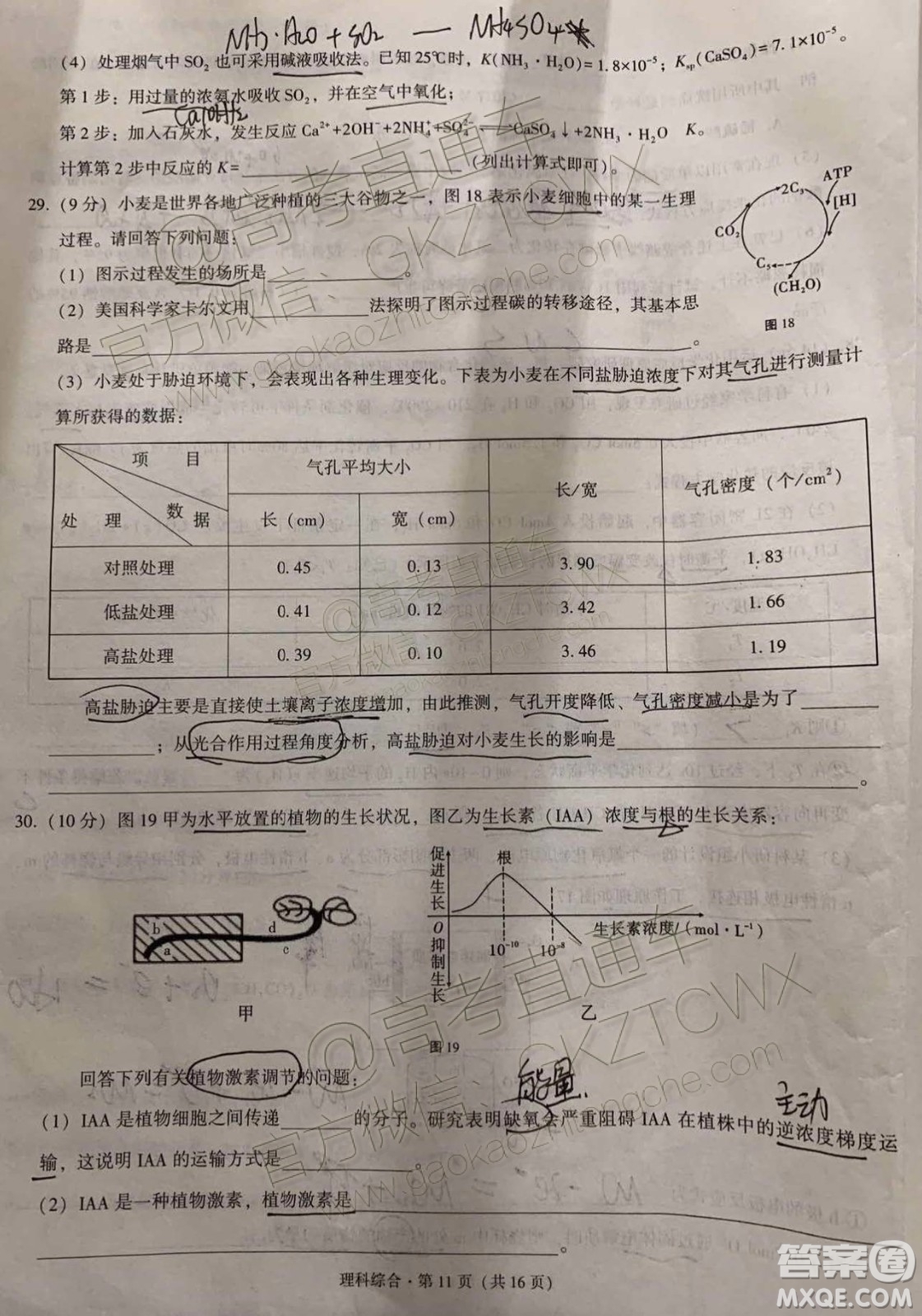 貴港市2020屆高三畢業(yè)班12月聯(lián)考理科綜合試題及答案