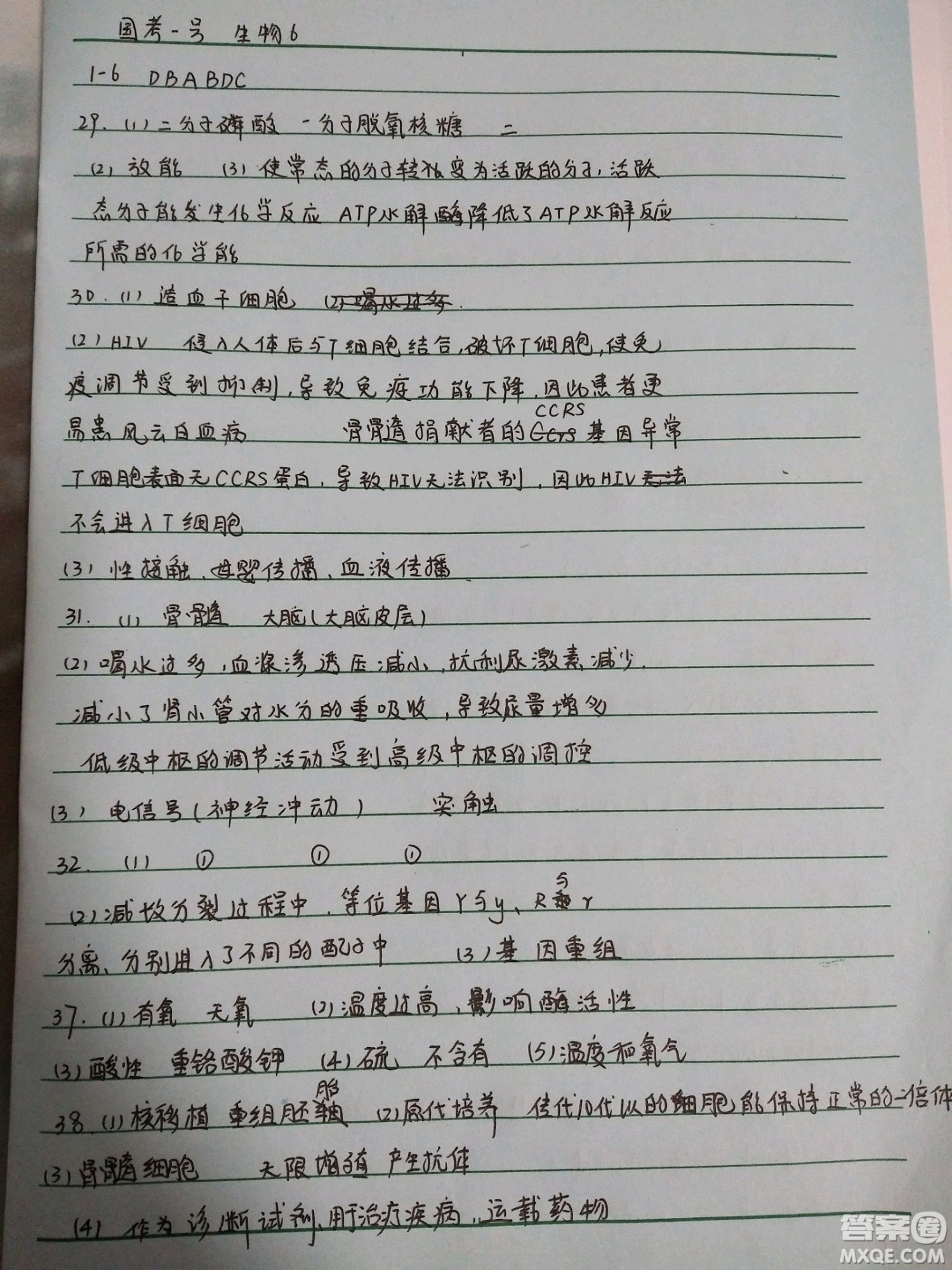 國考1號高中2020屆畢業(yè)班基礎(chǔ)知識滾動測試6生物答案