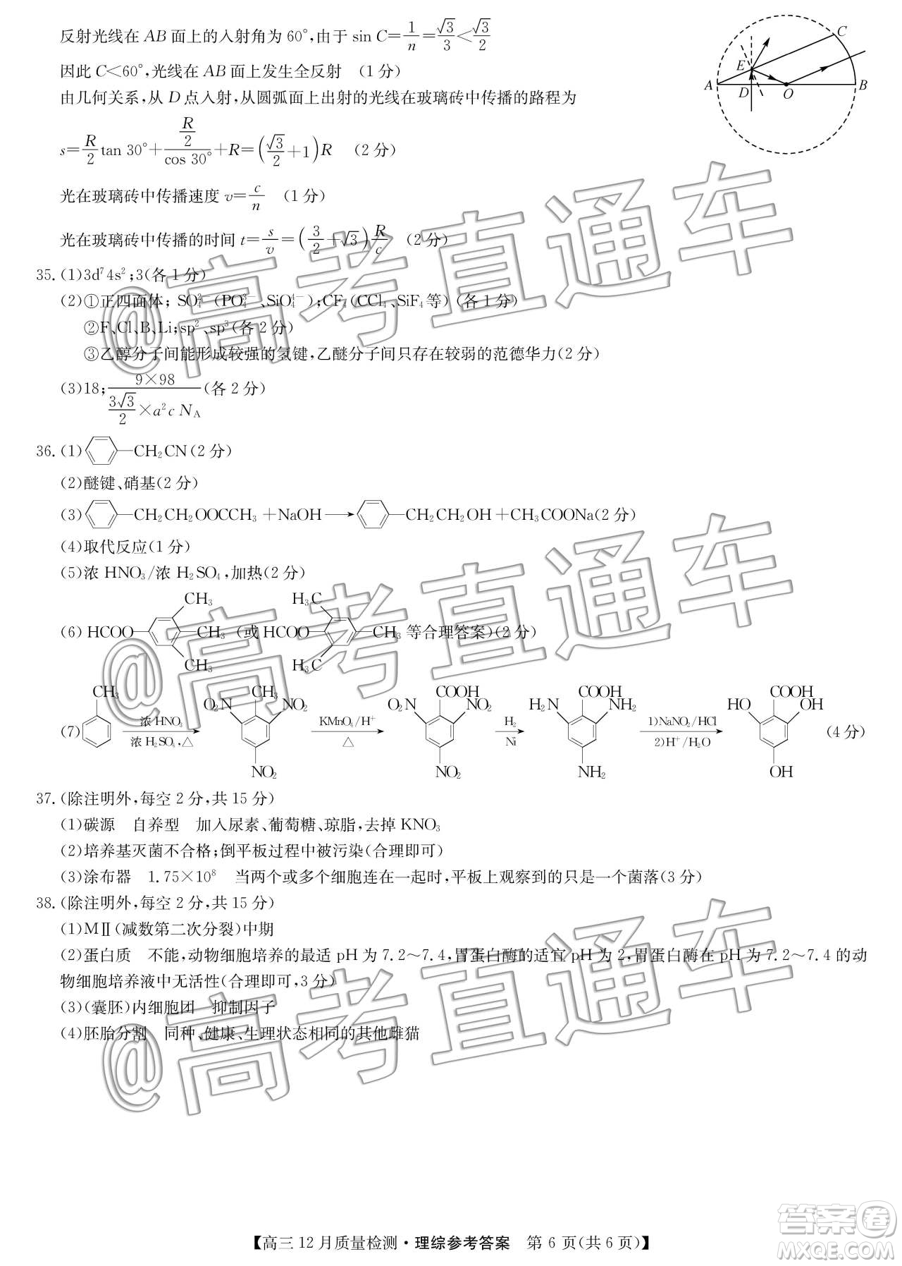 九師聯(lián)盟2019-2020學(xué)年高三12月質(zhì)量監(jiān)測理科綜合答案