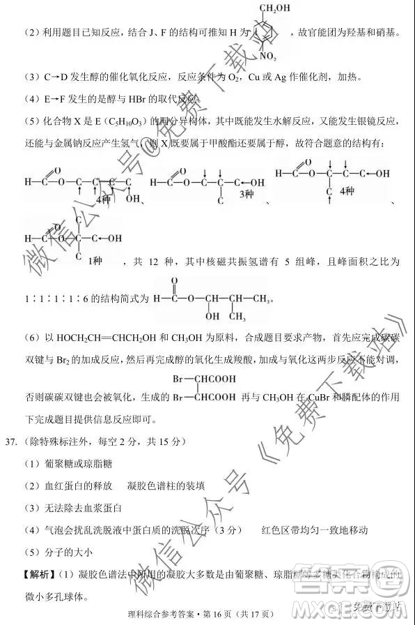 2020屆3+3+3高考備考診斷性聯(lián)考卷一理科綜合答案