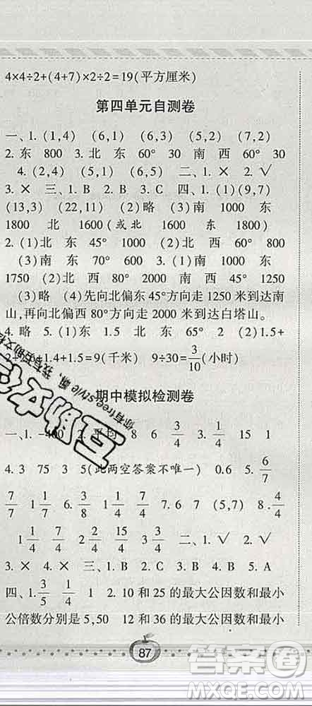 寧夏人民教育出版社2020春經(jīng)綸學(xué)典課時作業(yè)五年級數(shù)學(xué)下冊青島版答案