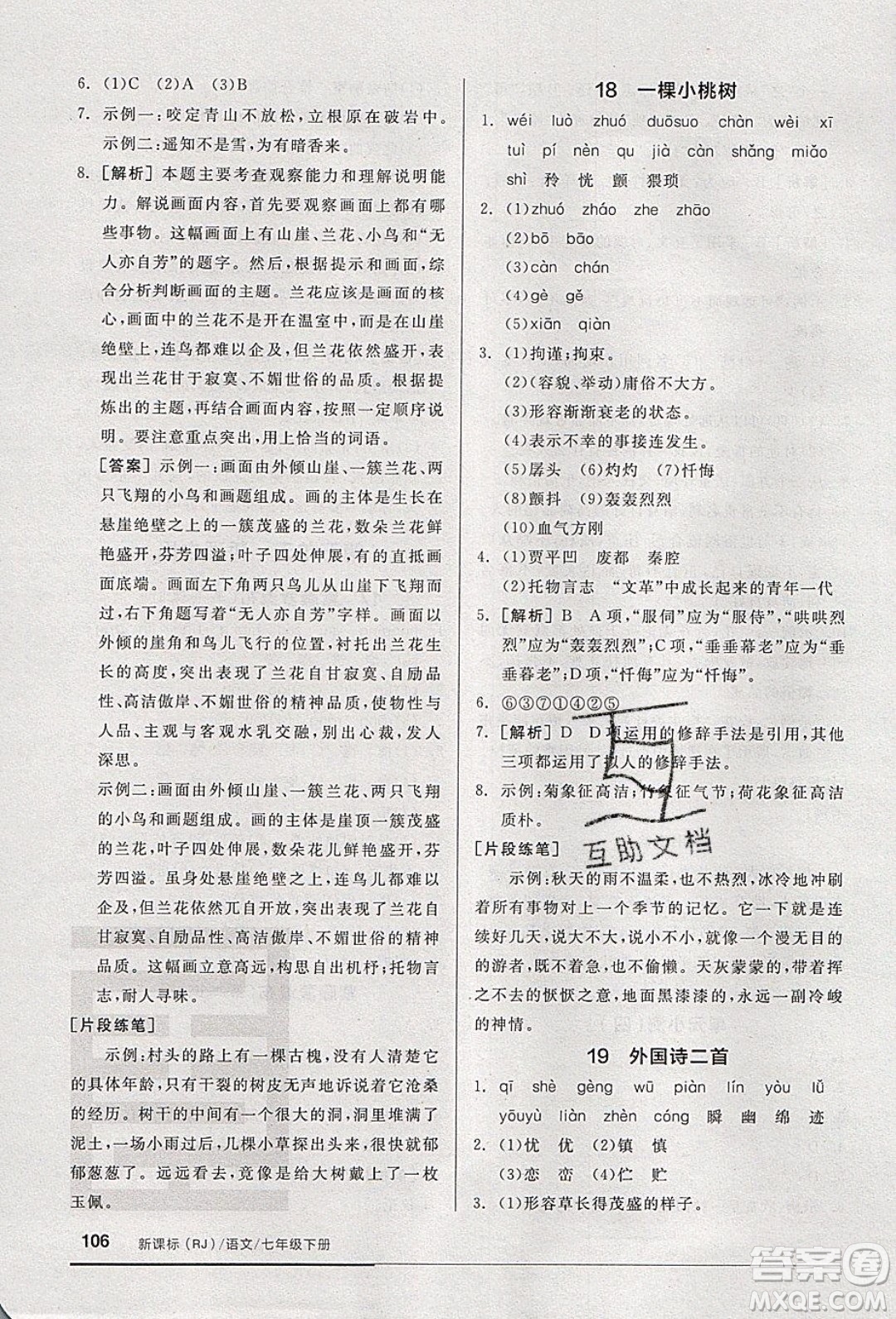 2020年全品基礎(chǔ)小練習(xí)語文七年級下冊人教版參考答案