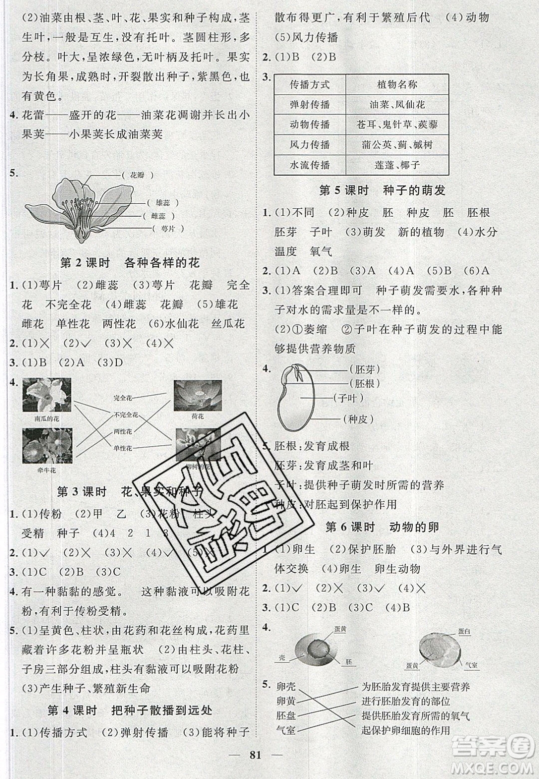 宇軒圖書2020春陽(yáng)光同學(xué)課時(shí)優(yōu)化作業(yè)科學(xué)四年級(jí)下冊(cè)教科版答案