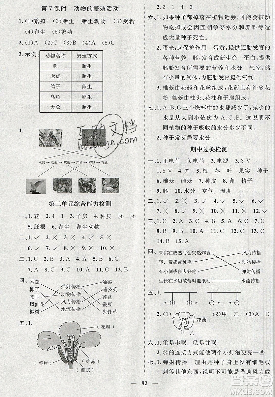 宇軒圖書2020春陽(yáng)光同學(xué)課時(shí)優(yōu)化作業(yè)科學(xué)四年級(jí)下冊(cè)教科版答案