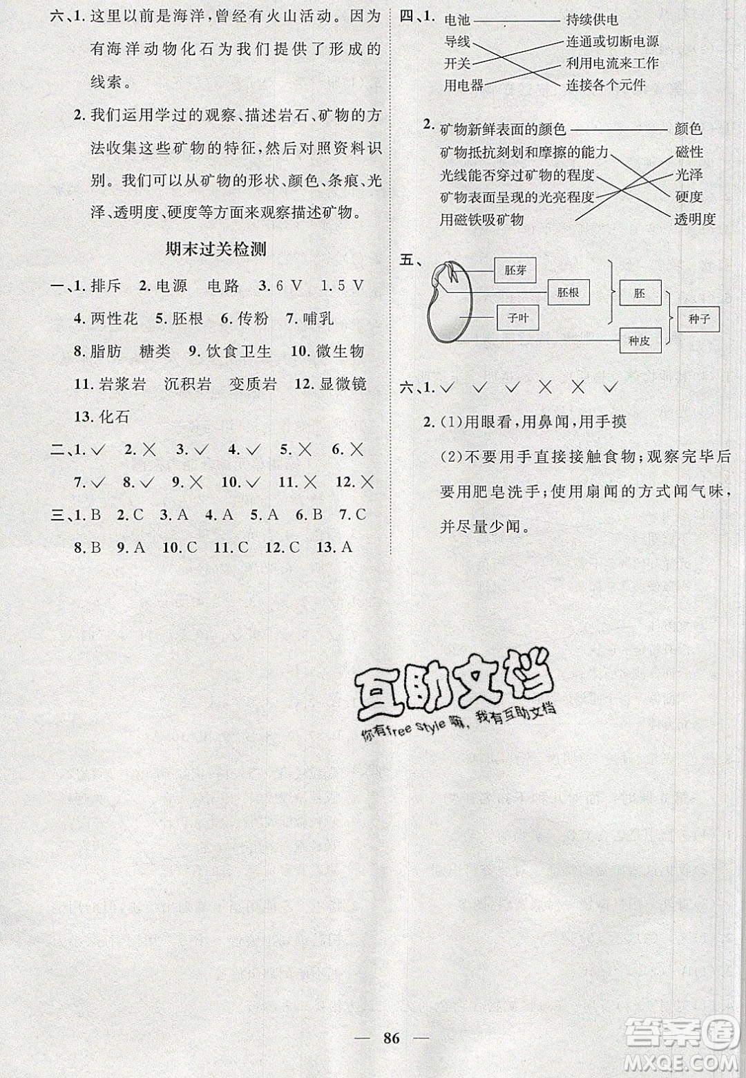 宇軒圖書2020春陽(yáng)光同學(xué)課時(shí)優(yōu)化作業(yè)科學(xué)四年級(jí)下冊(cè)教科版答案