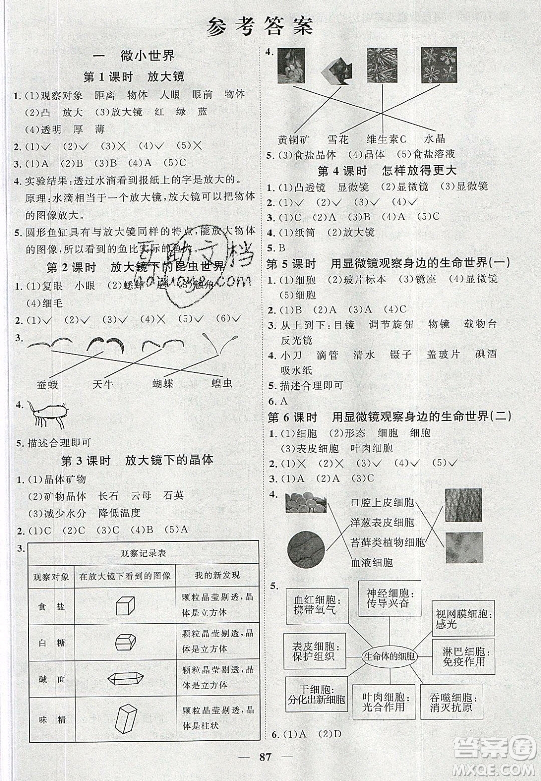 宇軒圖書(shū)2020春陽(yáng)光同學(xué)課時(shí)優(yōu)化作業(yè)六年級(jí)科學(xué)下冊(cè)教科版答案