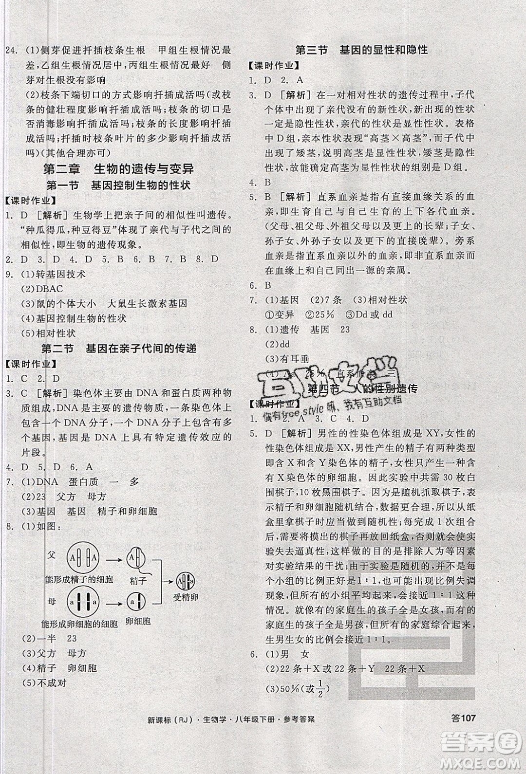 陽光出版社2020年全品學(xué)練考生物八年級下冊新課標RJ人教版答案