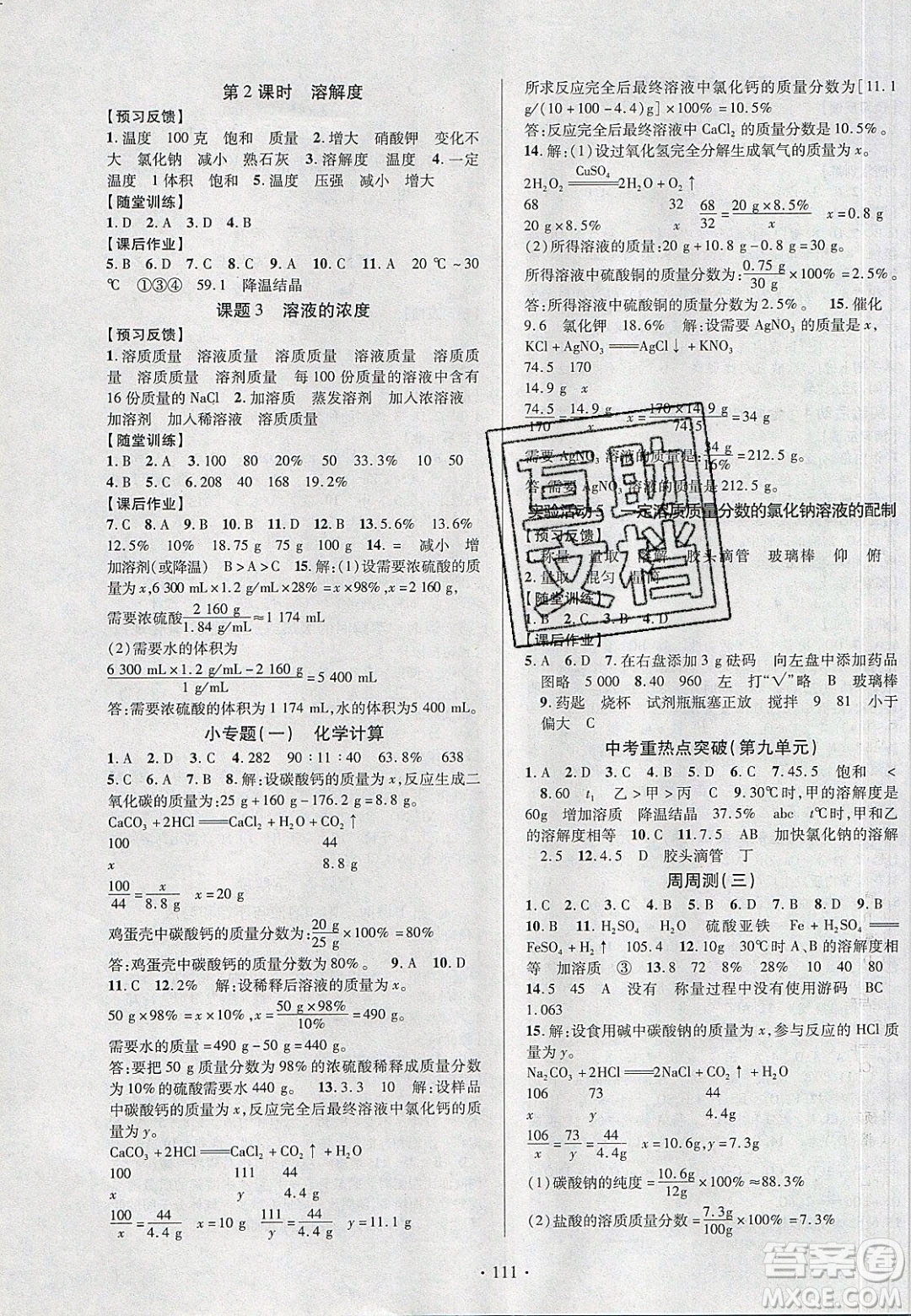 新疆文化出版社2020春課時掌控九年級化學下冊人教版答案