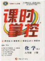 新疆文化出版社2020春課時掌控九年級化學下冊人教版答案