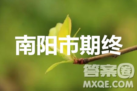 南陽(yáng)市2019年秋期高中三年級(jí)期終質(zhì)量評(píng)估理科數(shù)學(xué)答案