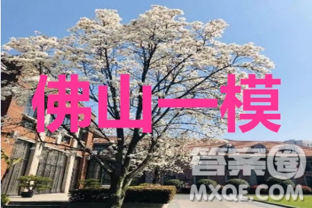 2019-2020學年佛山市普通高中高三教學質量檢測一理科數(shù)學試題及答案