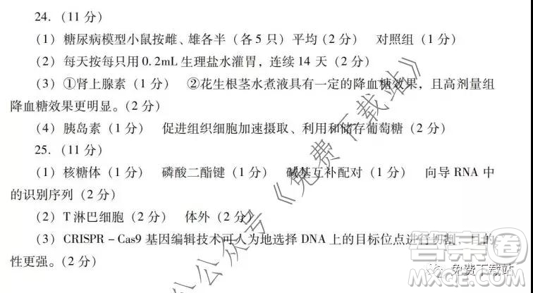 山東省濰坊市2020屆高三期末聯(lián)考生物答案