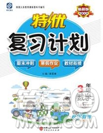 2020年特優(yōu)復習計劃期末沖刺寒假作業(yè)教材銜接三年級數(shù)學人教版答案