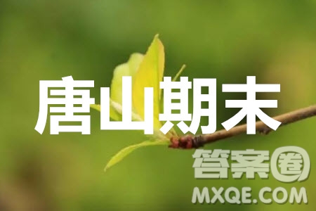 唐山市2019-2020學(xué)年度第一學(xué)期高三年級(jí)期末考試文科數(shù)學(xué)試題及答案