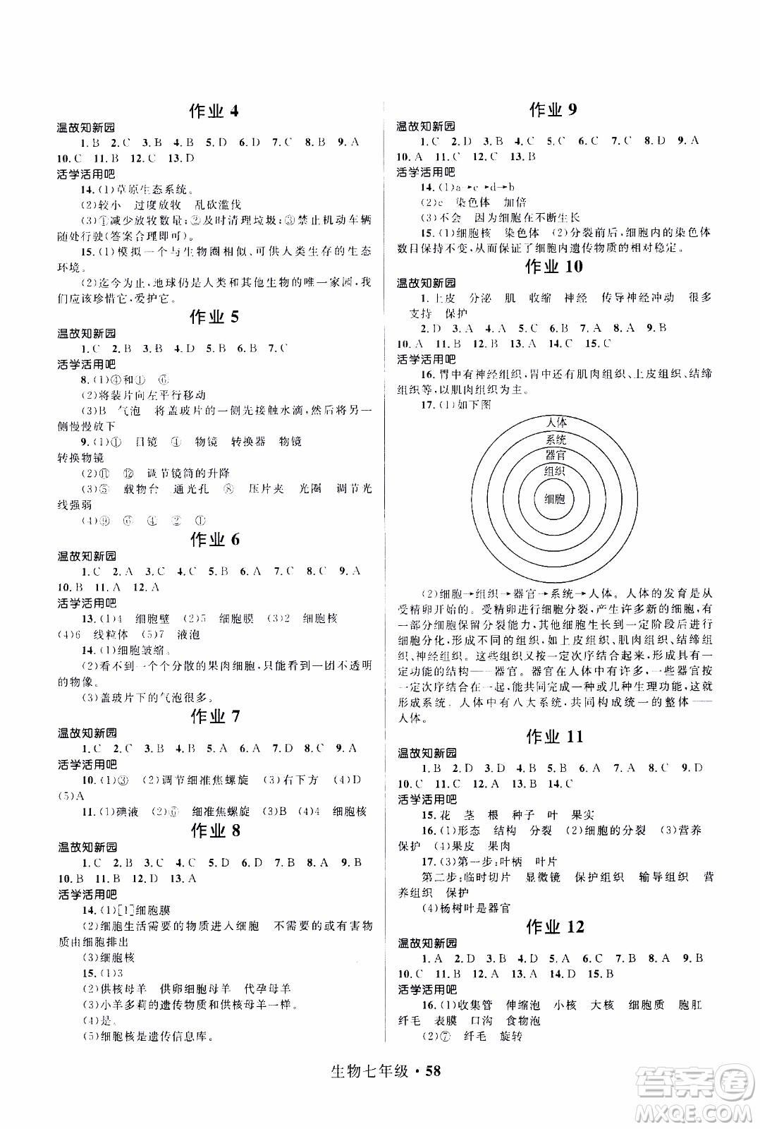 贏在起跑線2020年中學(xué)生快樂寒假生物7年級(jí)RJ人教版參考答案