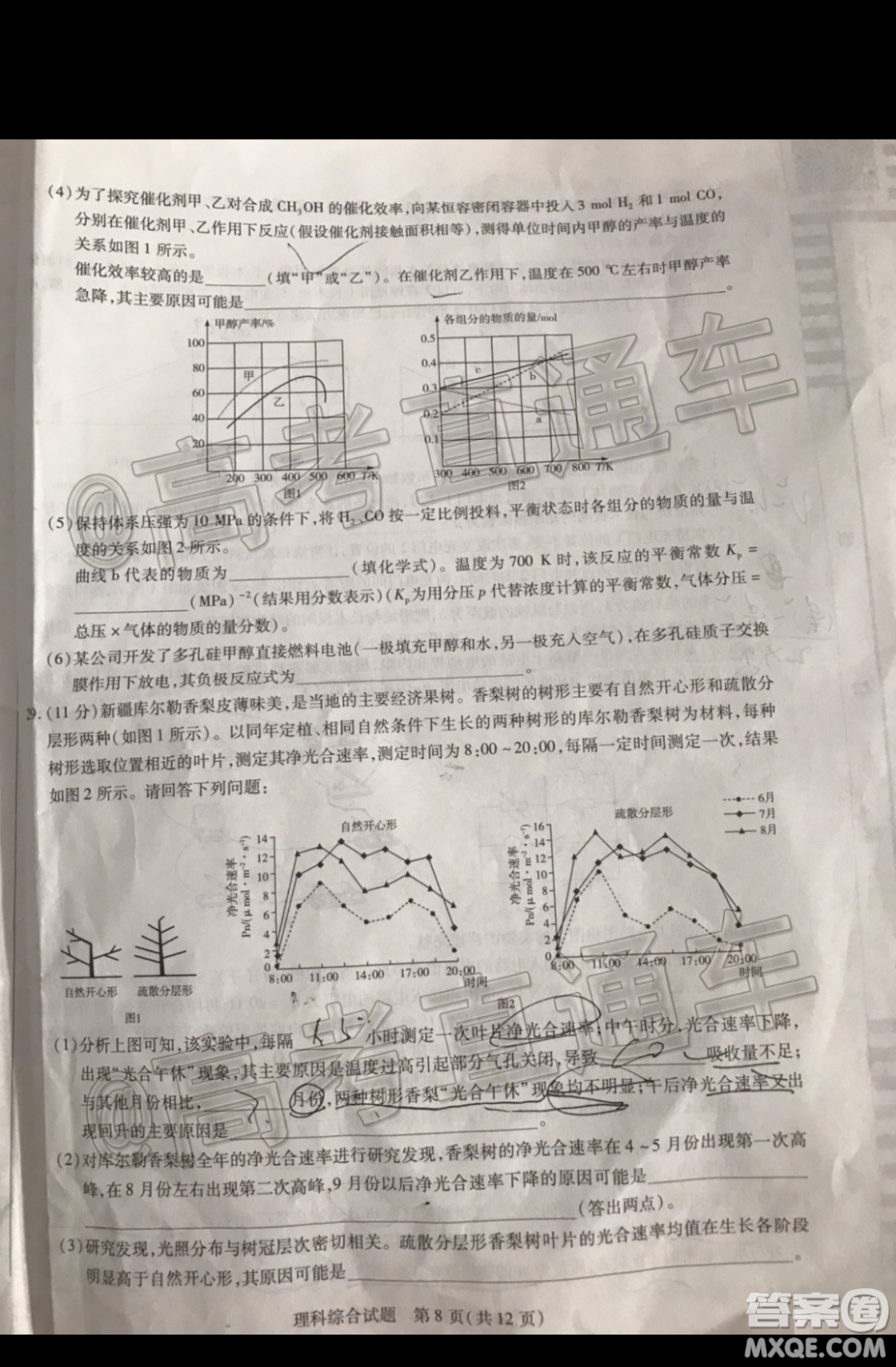 天一大聯(lián)考2019-2020學(xué)年高三上學(xué)期期末考試?yán)砜凭C合試題及答案