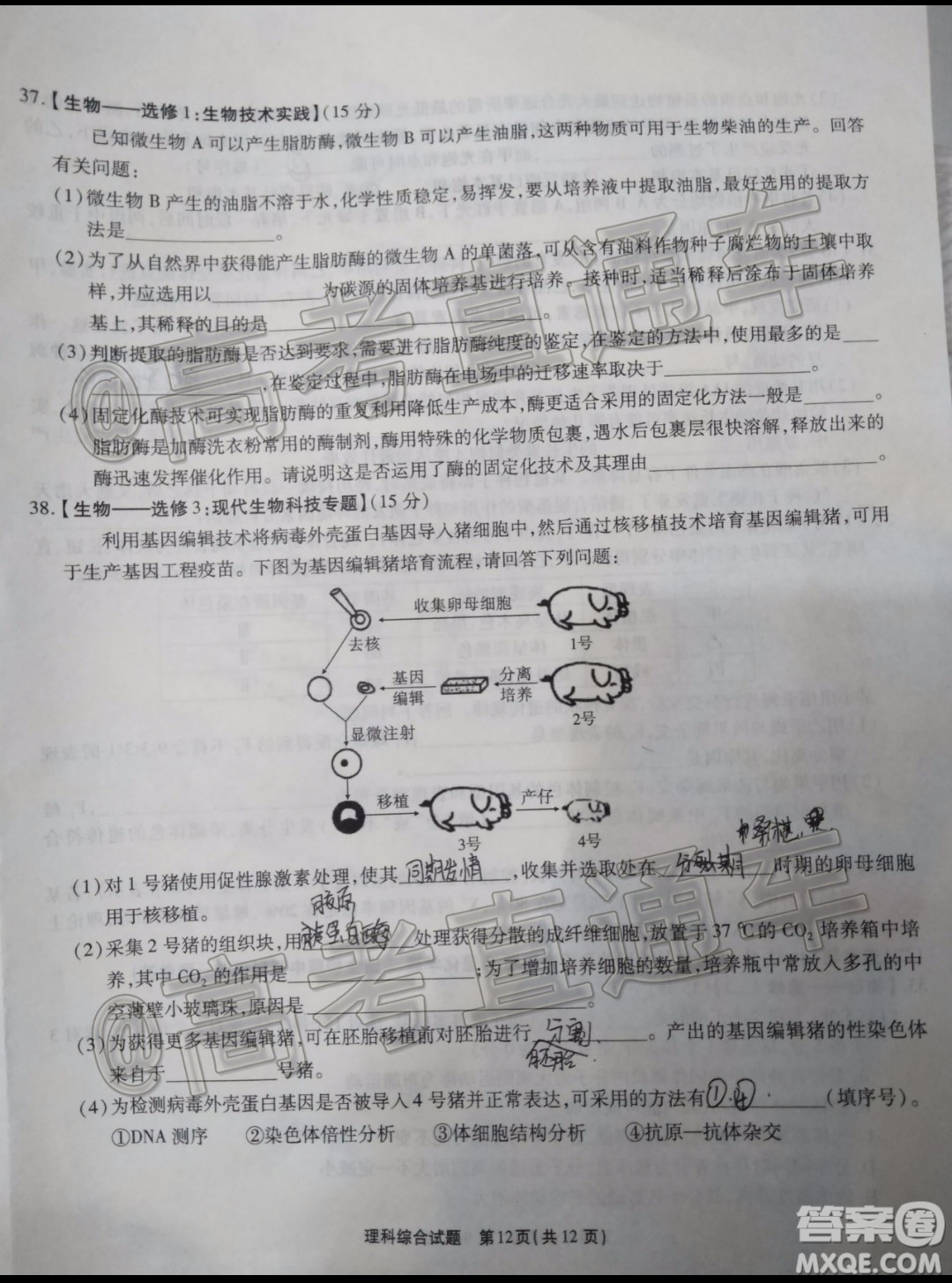 四省八校2020屆高三第四次教學(xué)質(zhì)量檢測(cè)考試?yán)砜凭C合試題及答案