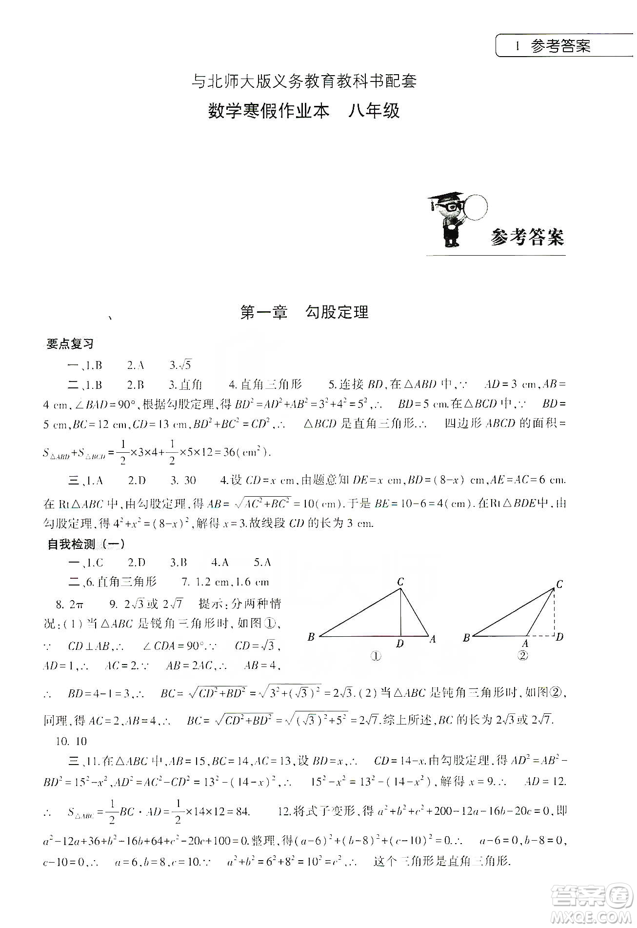 大象出版社2020數(shù)學(xué)寒假作業(yè)本八年級北師大版答案