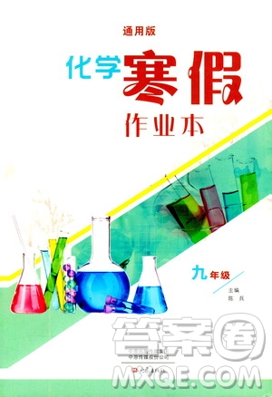 大象出版社2020化學寒假作業(yè)本九年級通用版答案